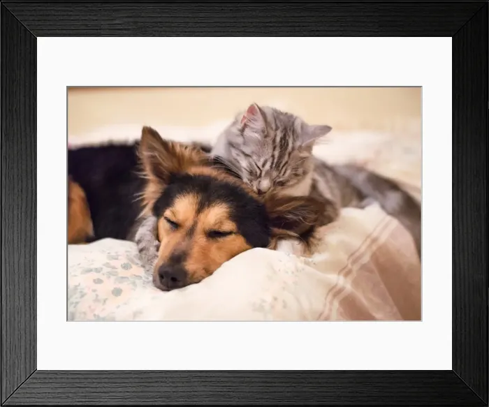 Framed Print : Besties Framed Print : Besties