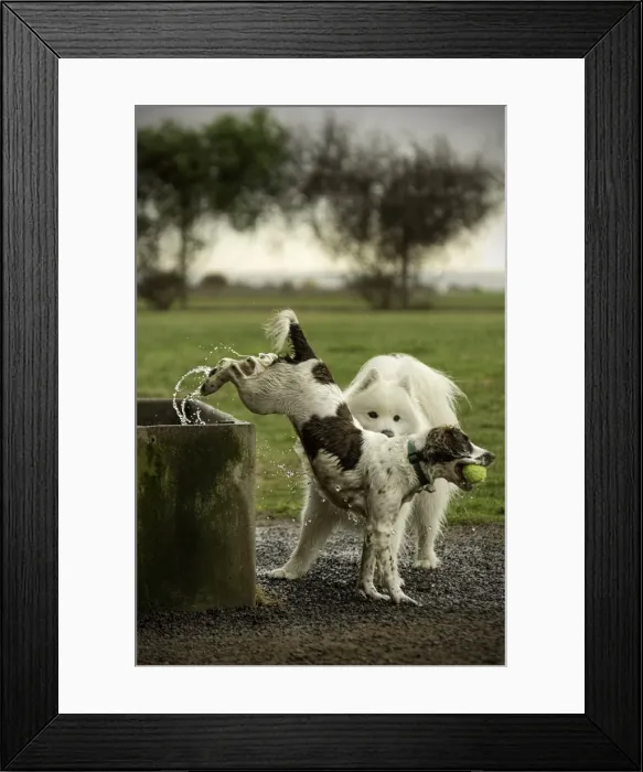 Framed Print : Thats Enough Framed Print : Thats Enough