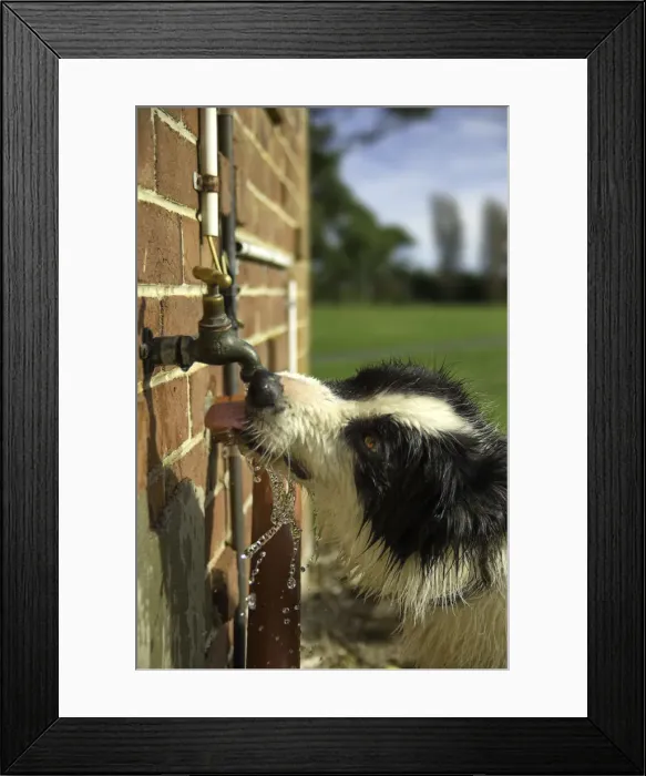 Framed Print : Fantastic Water
