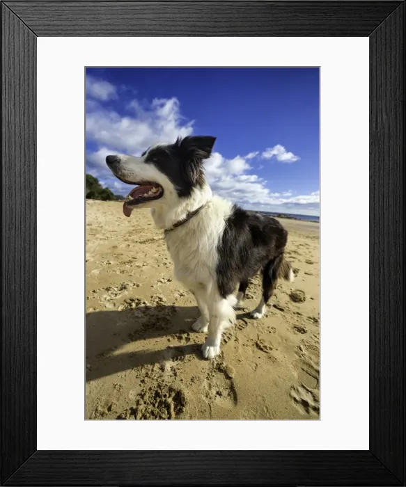 Framed Print : Standing Tall Framed Print : Standing Tall