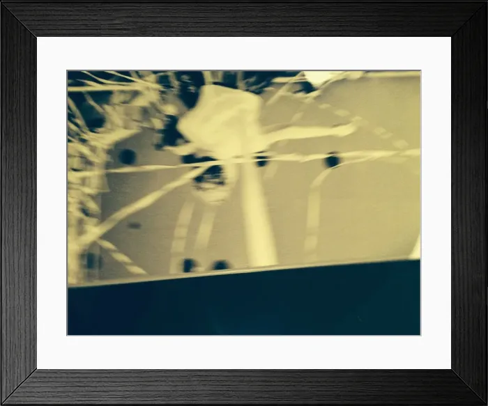 Framed Print : Order # 6230376304 Framed Print : Order # 6230376304