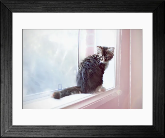 Framed Print : Pretty in Pink Framed Print : Pretty in Pink
