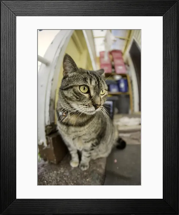 Framed Print : The Lord of the Manor