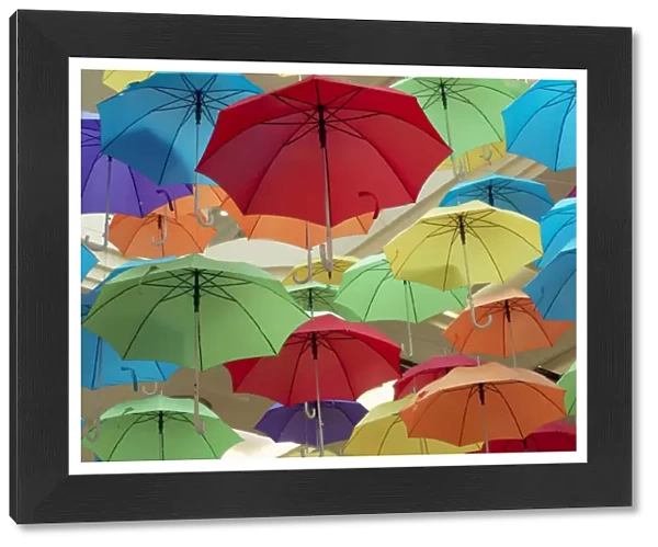 Colourful umbrellas