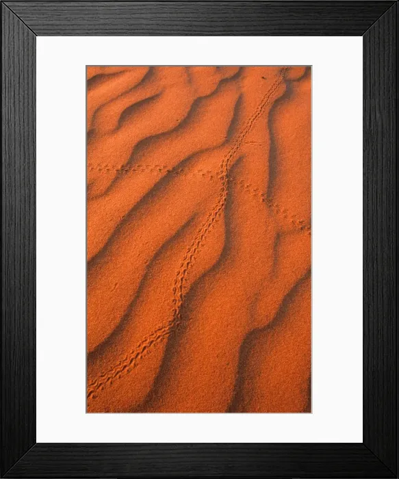 Framed Print : Australia, Northern Territory, Simpson Desert, beetle tracks in sand