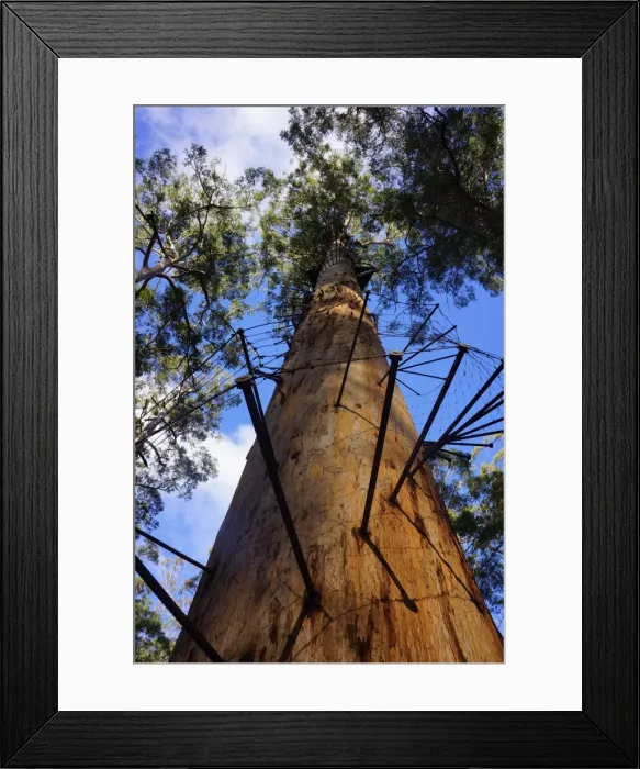 Framed Print : Roadside Attractions