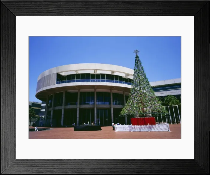 Framed Print : Exterior of Sydney Convention Center with Christmas tree Framed Print : Exterior of Sydney Convention Center with Christmas tree