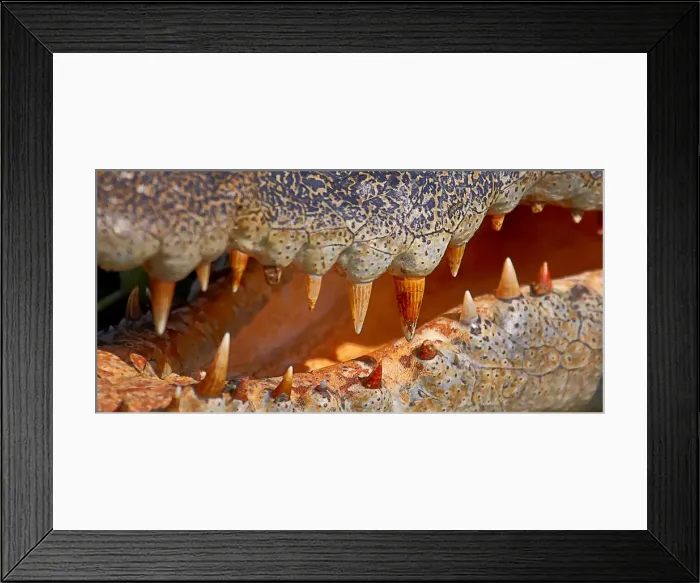 Framed Print : deadly vice Framed Print : deadly vice