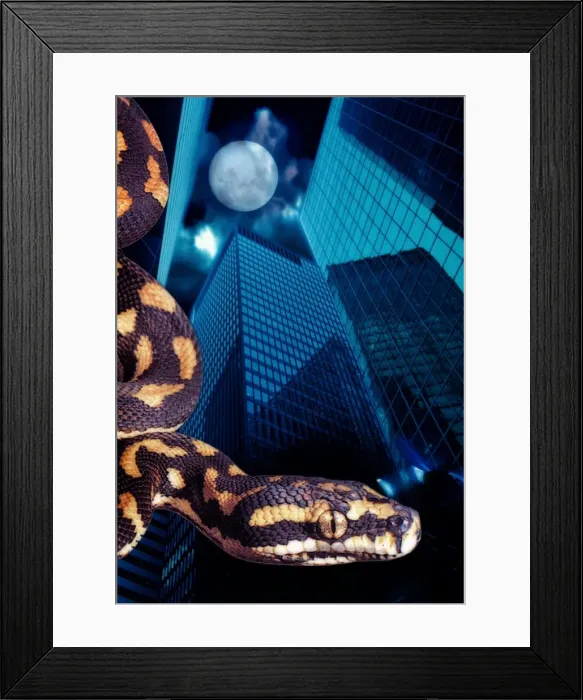Framed Print : Big Business Framed Print : Big Business