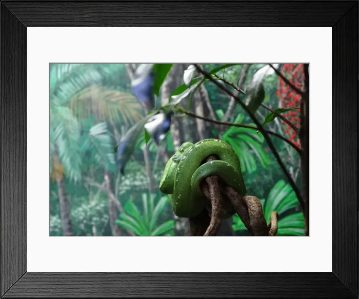Framed Print : Green Snake