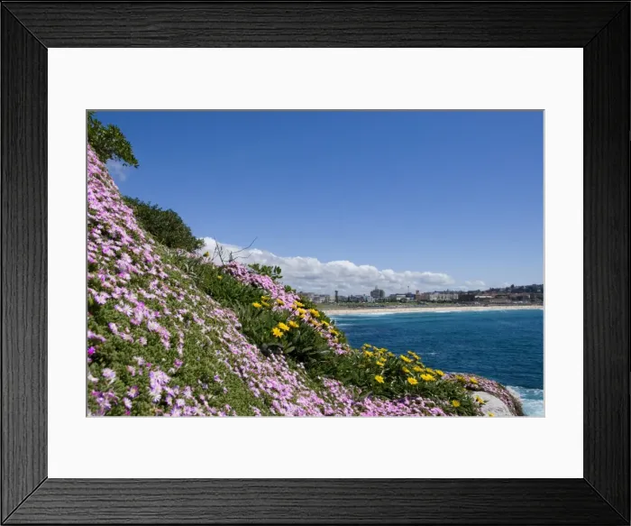 Framed Print : Bondi Beach Framed Print : Bondi Beach