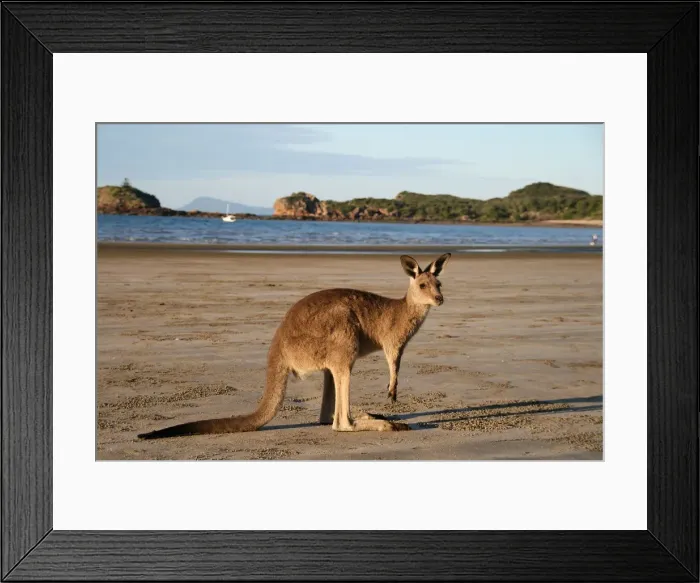Framed Print : Kangaroo Beach Framed Print : Kangaroo Beach