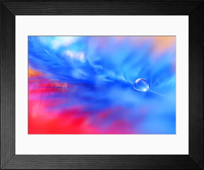 Framed Print : A drop of water on a blue feather Framed Print : A drop of water on a blue feather
