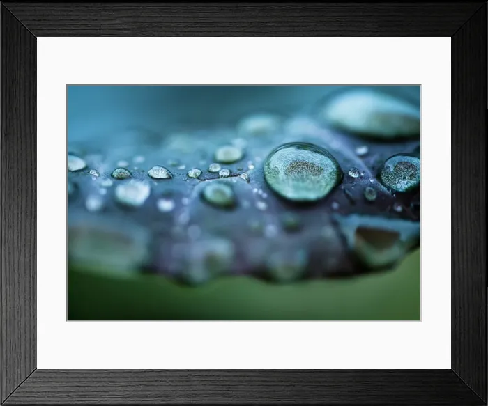 Framed Print : Rain drops