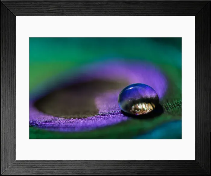 Framed Print : Waterdrop on a peacock feather Framed Print : Waterdrop on a peacock feather