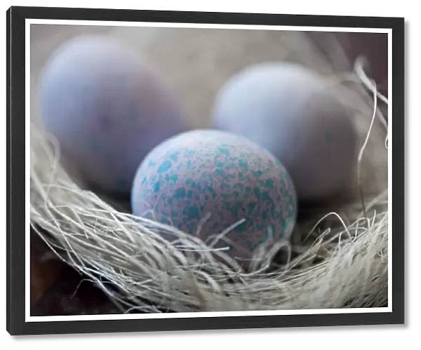 Easter Eggs in nest