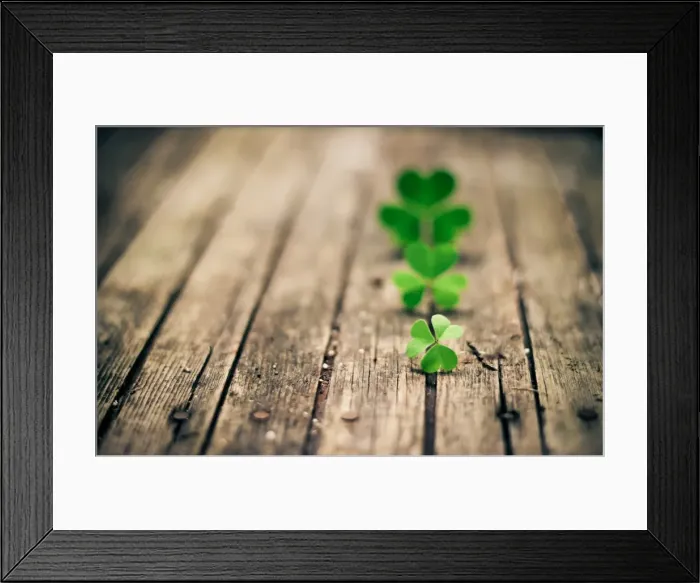 Framed Print : Clovers in a row on wood Framed Print : Clovers in a row on wood