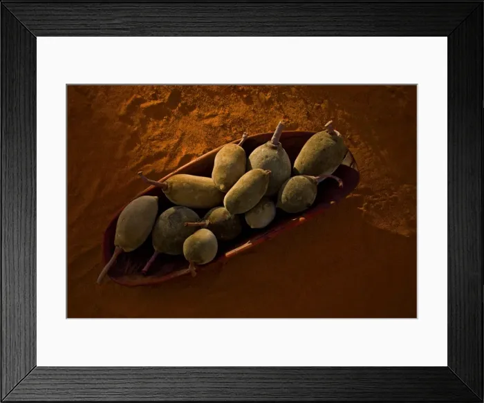 Framed Print : Boab Pods, Coolamon, Red earth