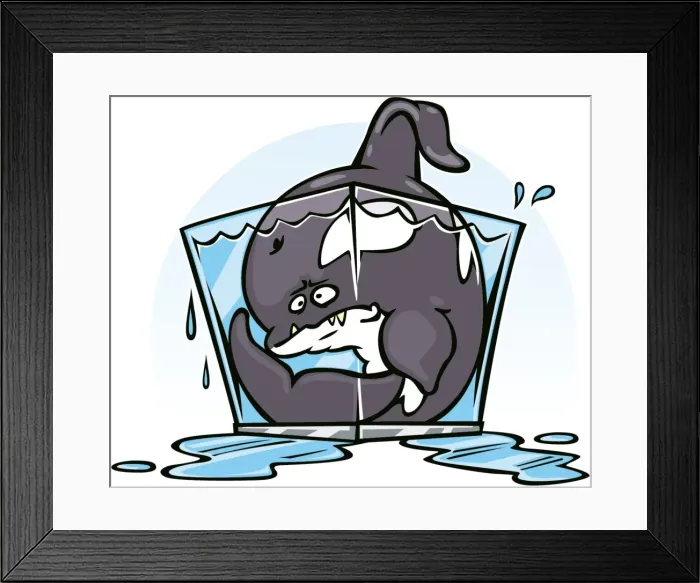 Framed Print : killer whale tank Framed Print : killer whale tank