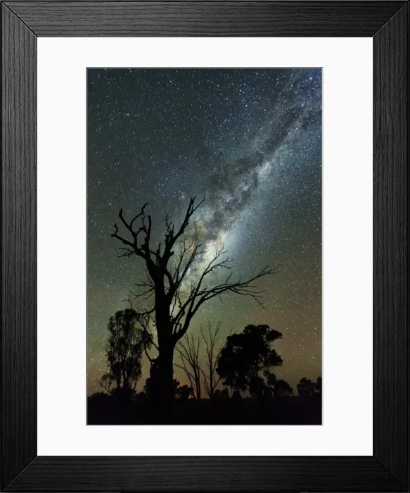 Framed Print : Milky Way Gum Tree