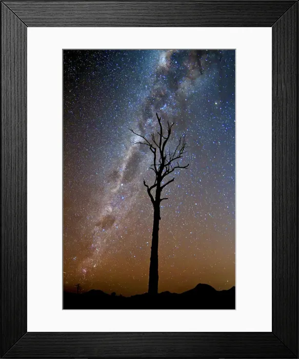 Framed Print : Tree under stars and the Milky Way Framed Print : Tree under stars and the Milky Way