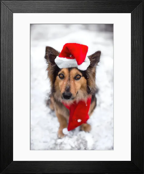 Framed Print : Keeping warm this Christmas Framed Print : Keeping warm this Christmas