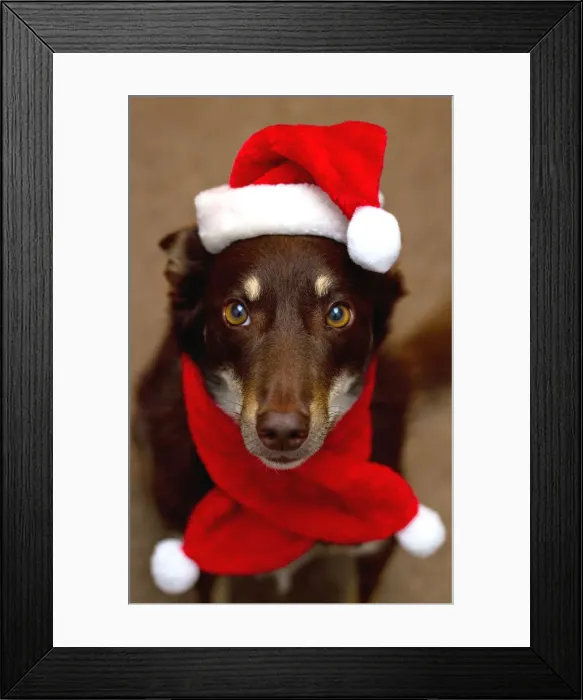 Framed Print : Christmas. Australian Views Christmas
