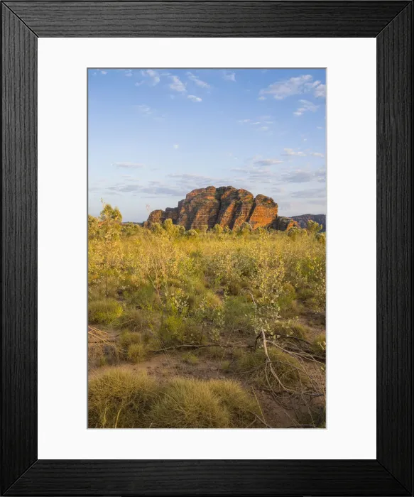 Framed Print : Bungle Bungles, beehive-shaped sandstone towers, Purnululu National Park, UNESCO World Heritage Site, Eastern Kimberleys, Western Australia