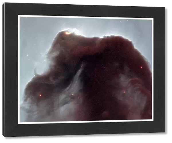 Horsehead Nebula; Looking like an apparition rising from whitecaps of interstellar foam