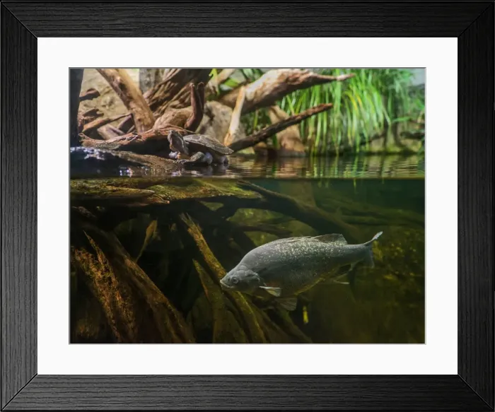 Framed Print : Two different worlds