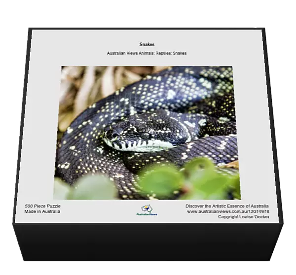 Snakes. Australian Views Animals: Reptiles: Snakes