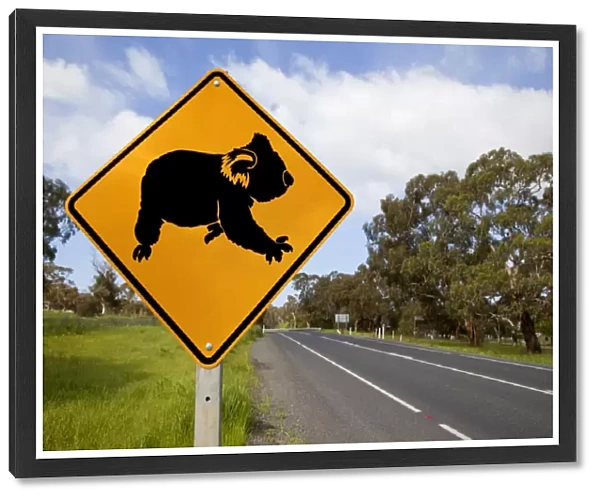 Koala warning sign