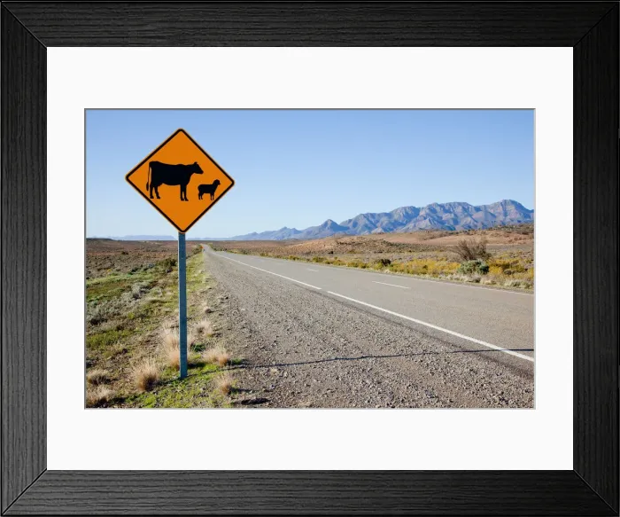Framed Print : Livestock warning sign Framed Print : Livestock warning sign
