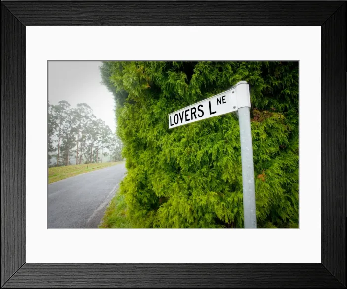 Framed Print : Lovers Lane sign