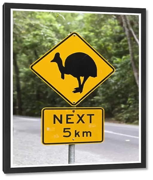 Cassowary warning sign in the rainforest, Daintree National Park, northern Queensland, Australia