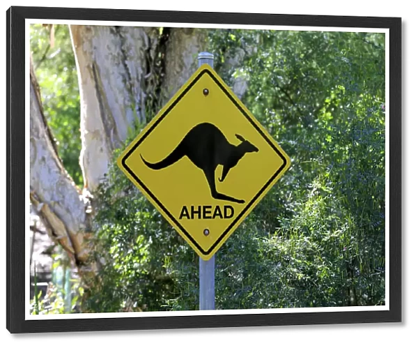 Warning sign, Kangaroo, Wilsons Promontory National Park, Victoria, Australia