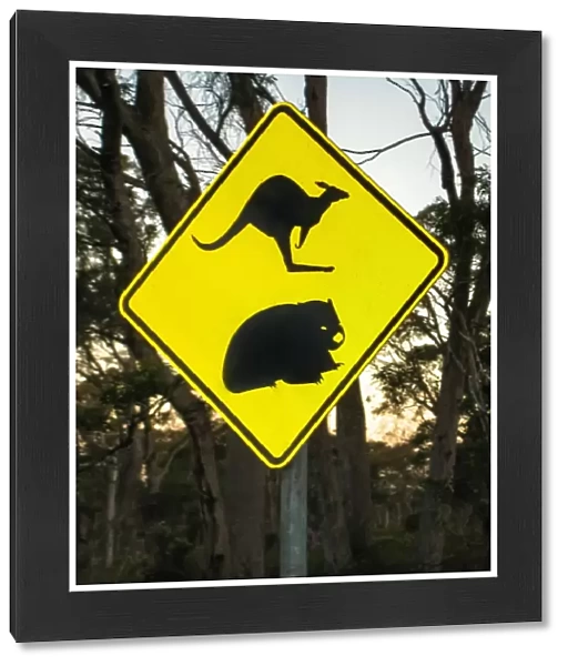 Road sign with a kangaroo and a wombat in Tasmania