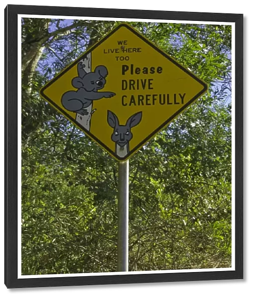 Warning sign about koalas and kangaroos