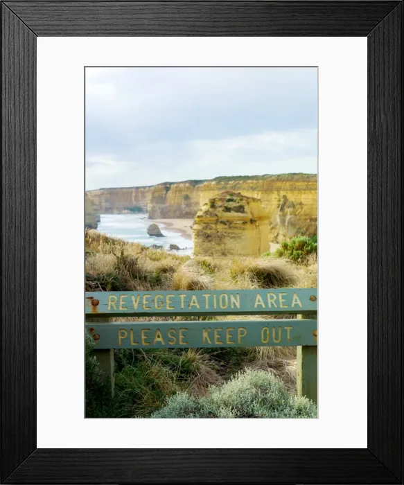 Framed Print : Revegetation area at the 12 Apostles Framed Print : Revegetation area at the 12 Apostles