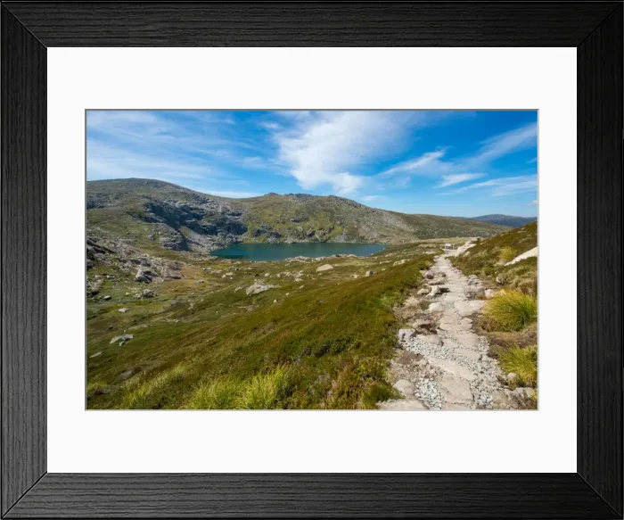 Framed Print : Blue lake track in kosciuszko national park
