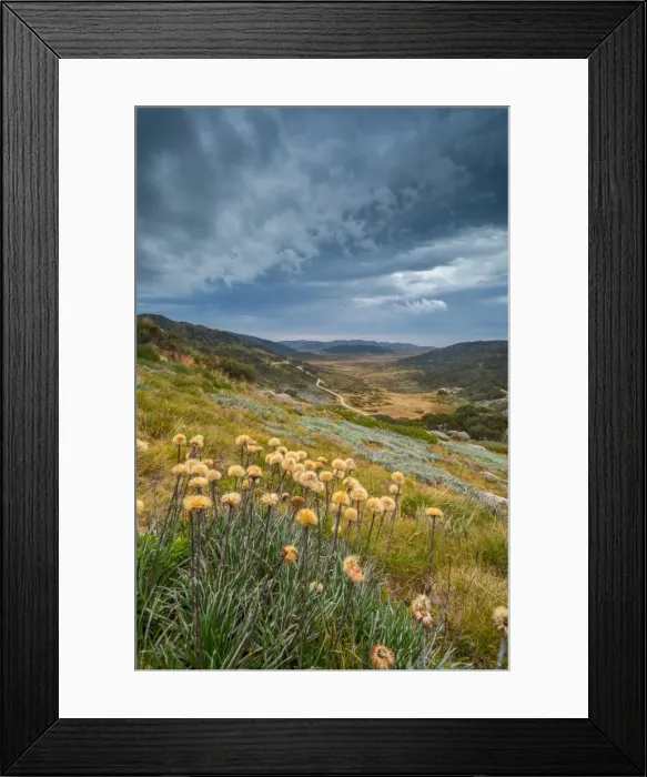 Framed Print : kosciuszko national park Framed Print : kosciuszko national park