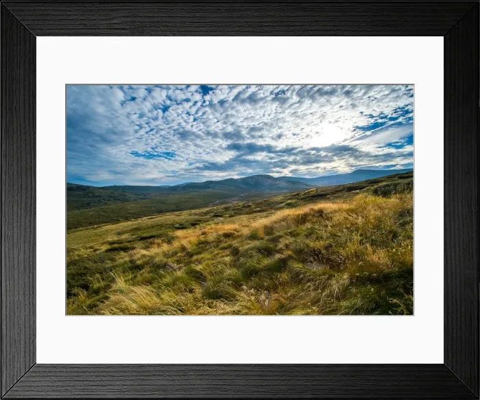 Framed Print : Blue lake track in kosciuszko national park Framed Print : Blue lake track in kosciuszko national park