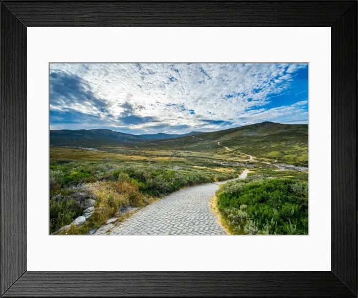 Framed Print : Blue lake track in kosciuszko national park