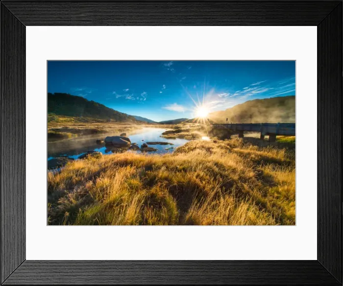 Framed Print : Golden grass