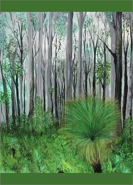 Australian Forest Beauty