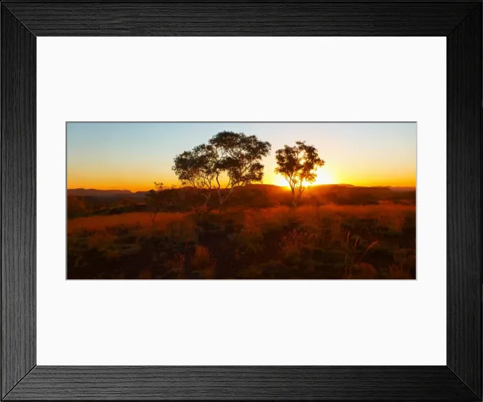 Framed Print : Sunset at Newman in Western Australia with the silhouettes of trees Framed Print : Sunset at Newman in Western Australia with the silhouettes of trees