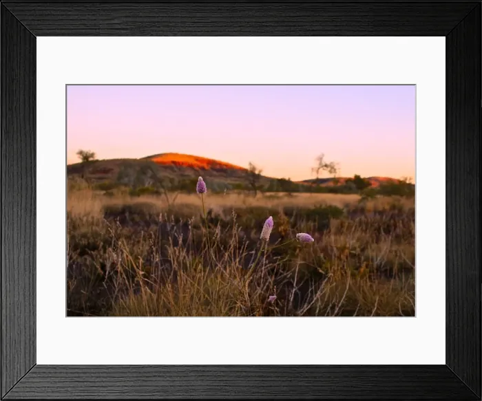Framed Print : Australian sunset in the Pilbara region of Western Australia Framed Print : Australian sunset in the Pilbara region of Western Australia