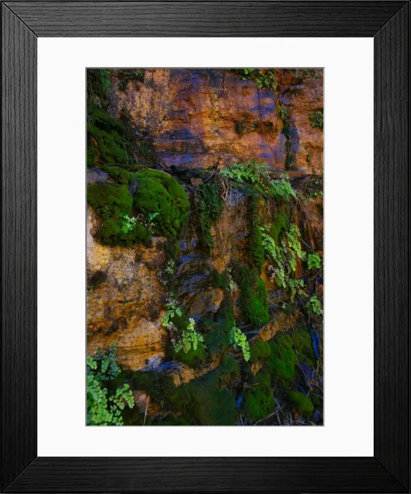 Framed Print : Moss gathering on a gorge rock face in Karijini National Park Framed Print : Moss gathering on a gorge rock face in Karijini National Park