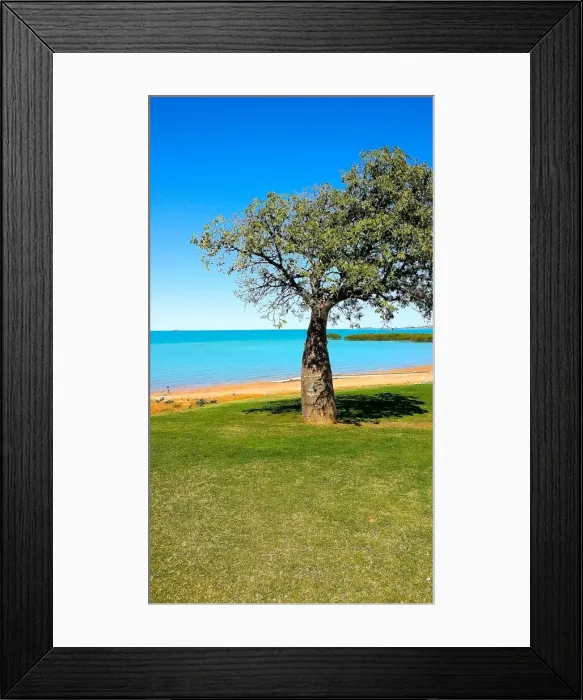 Framed Print : Broome Boab