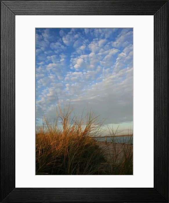 Framed Print : Cloud, patterns, grass, texture, sunrise, monkey mia, westernaustralia, australia